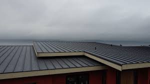 Best Rubber Roofing (EPDM, TPO)  in Flemington, PA